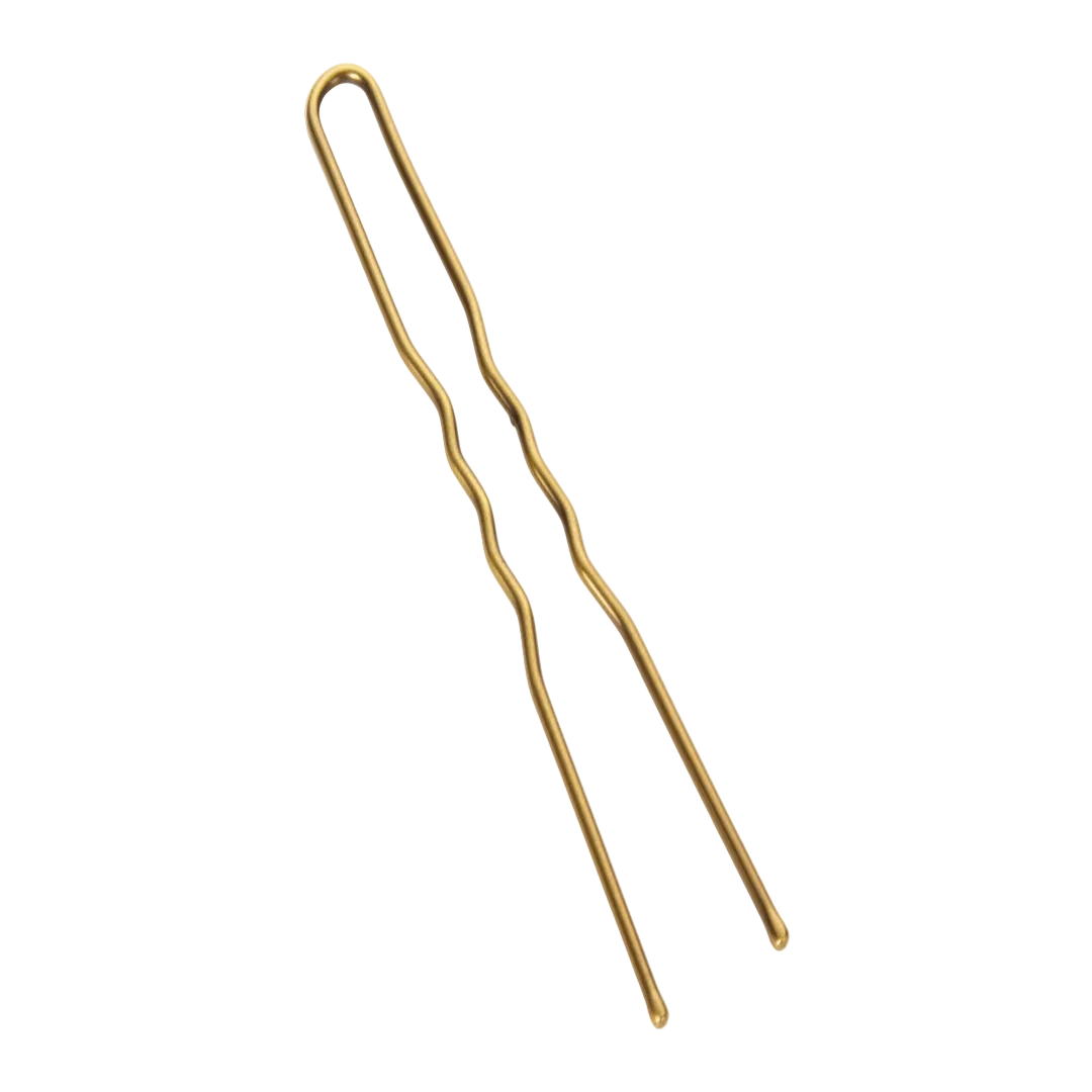 Brass bun pin