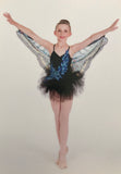 “Butterfly Ballerina” Demi/Ballet Costume - Girl’s size IC & LC (Second Hand)